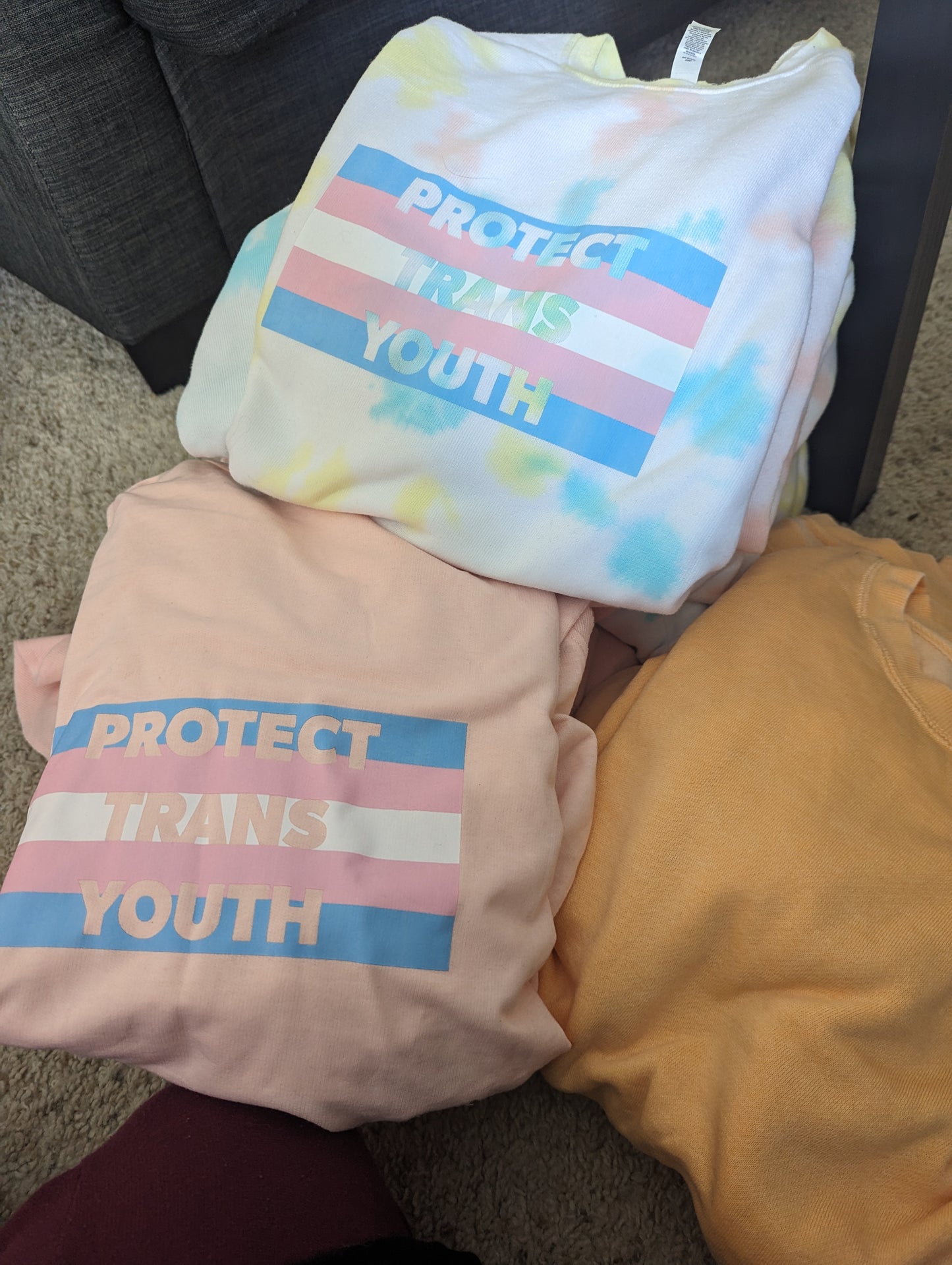 Protect Trans Youth Sweatshirt *limited run*