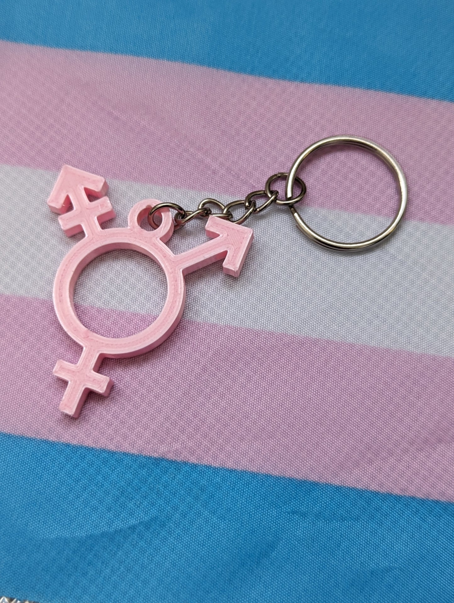 Trans Symbol Keychain