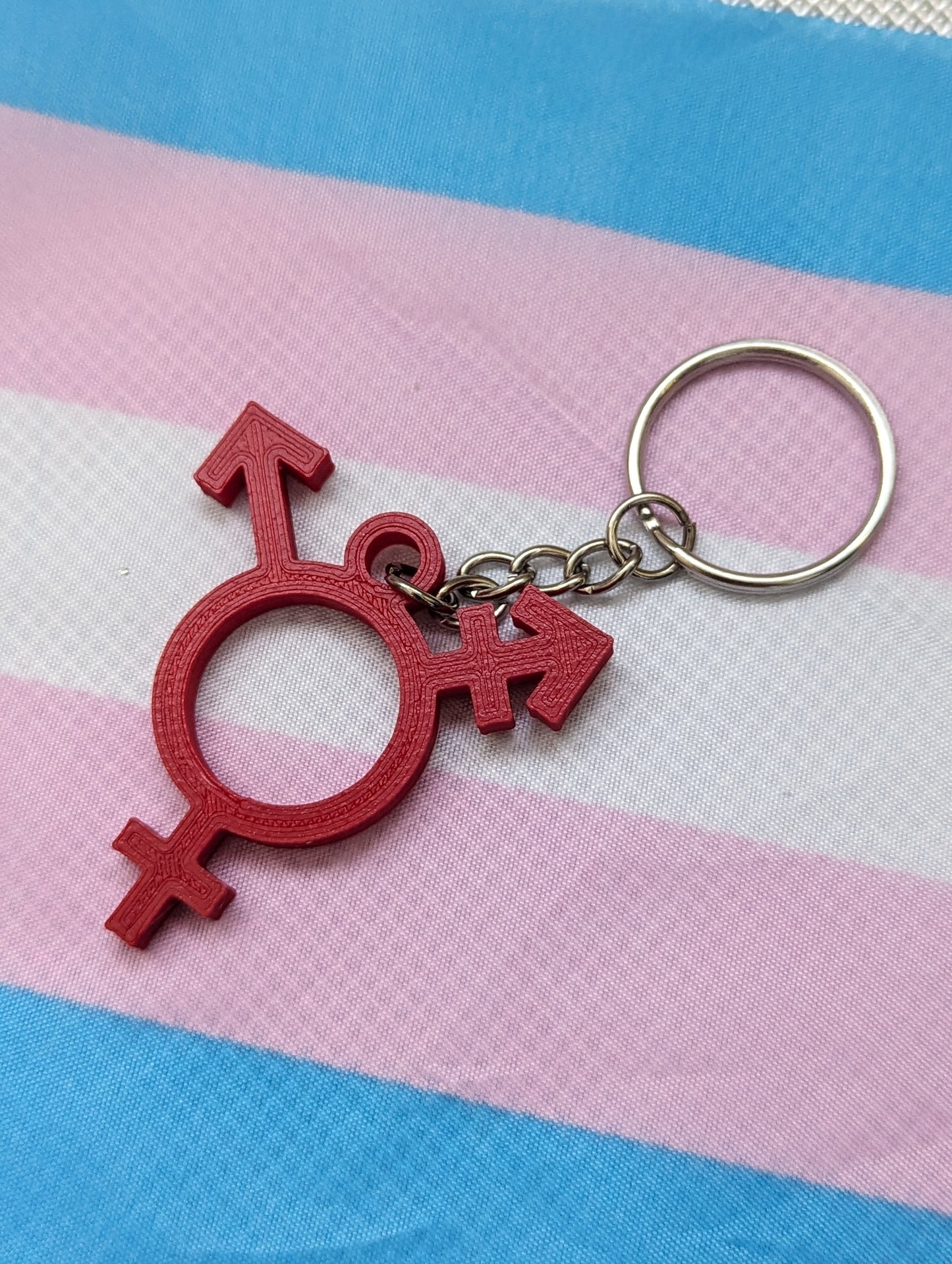 Trans Symbol Keychain