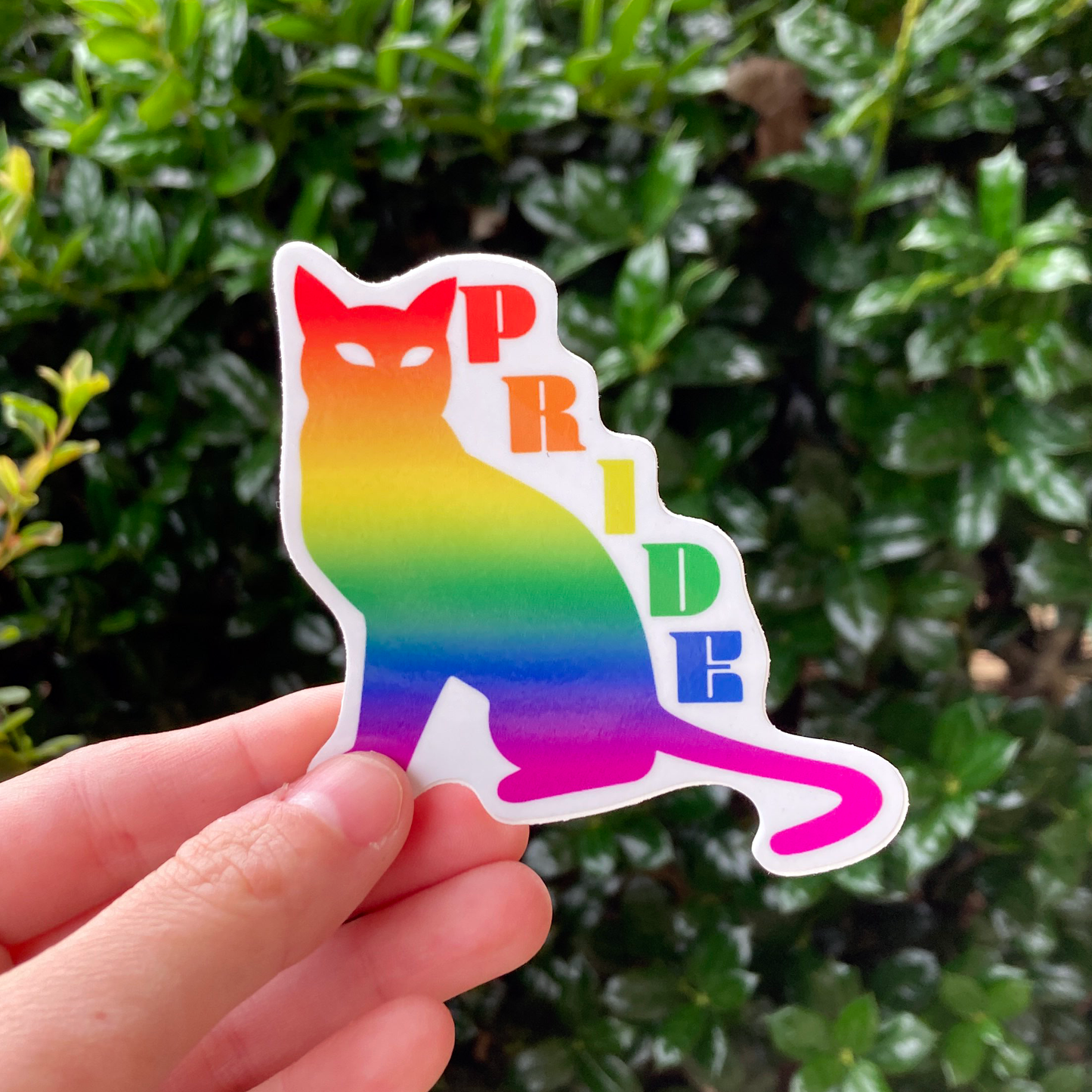 Queer Kitty Pride Sticker