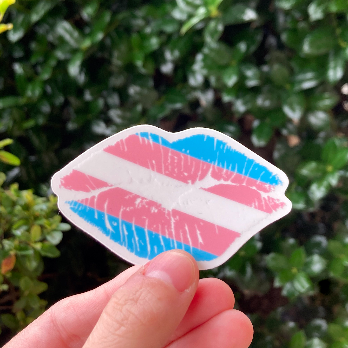 Trans Pride Kiss Clear Sticker